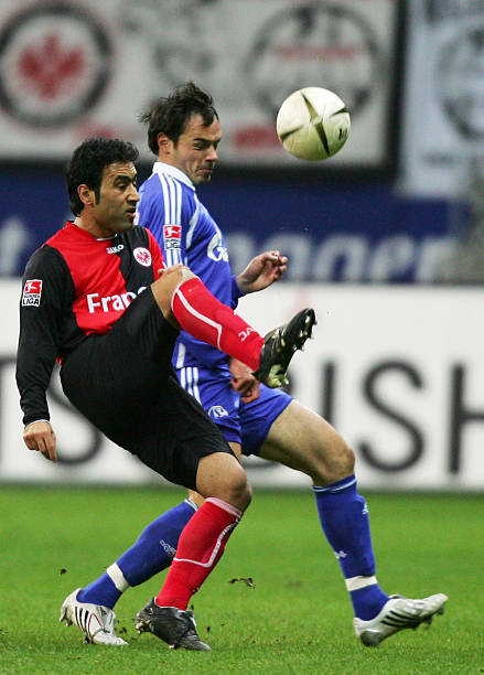 球迷们不但 球迷们不但